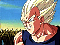 cell26.jpg