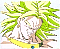 cell52.jpg